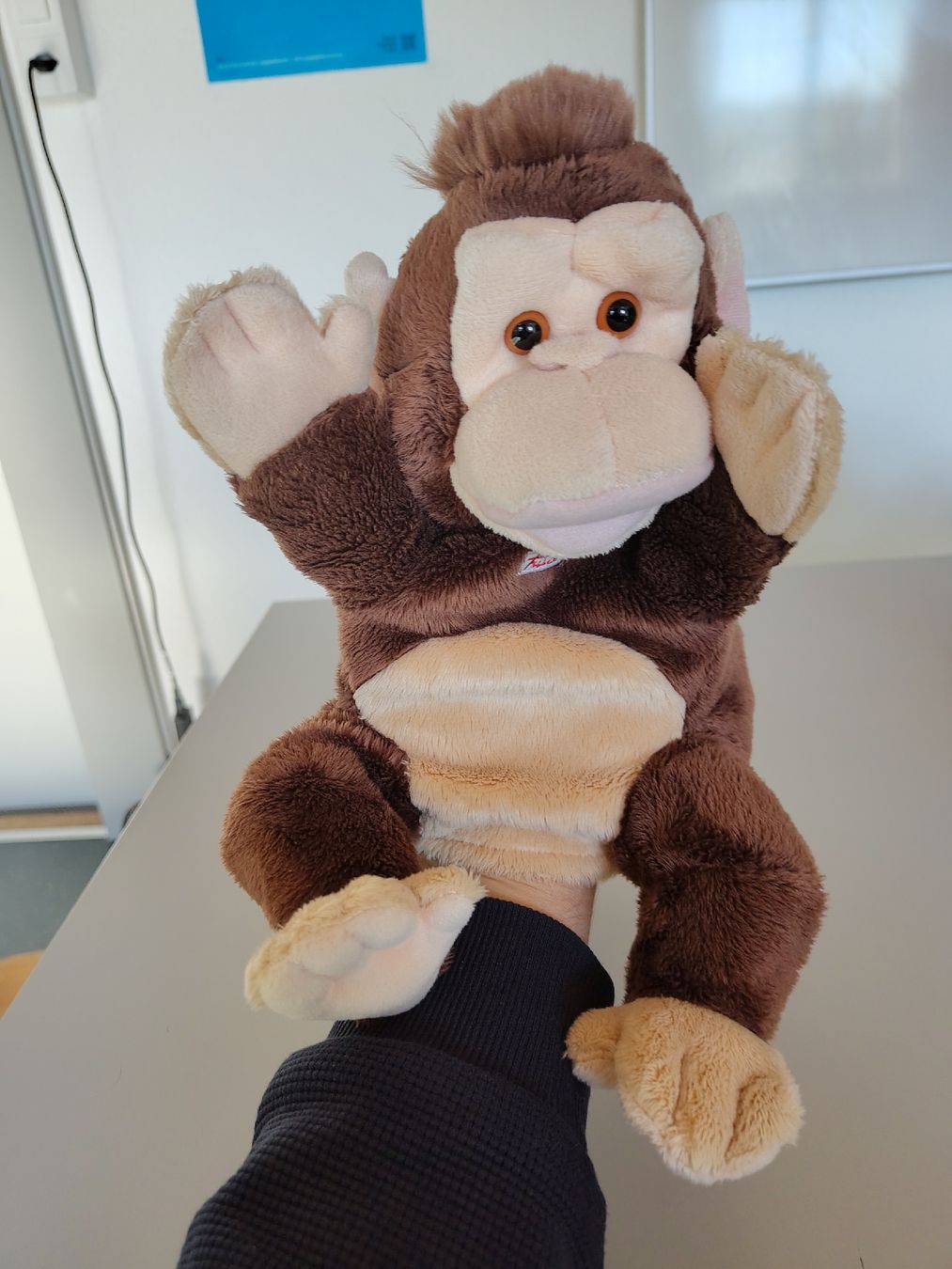 Jouets: Handpuppe Affe – D'occasion à Bern par mwa_xj5p 2