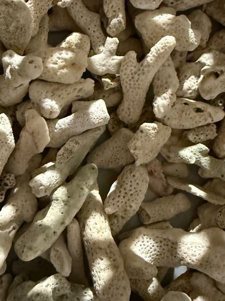 Aquarium: 5 kg Korallenbruch ca 3 cm. 100 % Natürlich. – Neu und originalverpackt aus Halten von Aquariumsalze