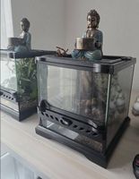 Terrarien 20 × 20 cm