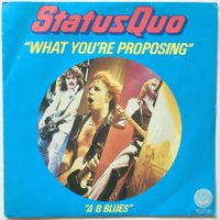 STATUS QUO - WHAT YOU'RE PROPOSING
