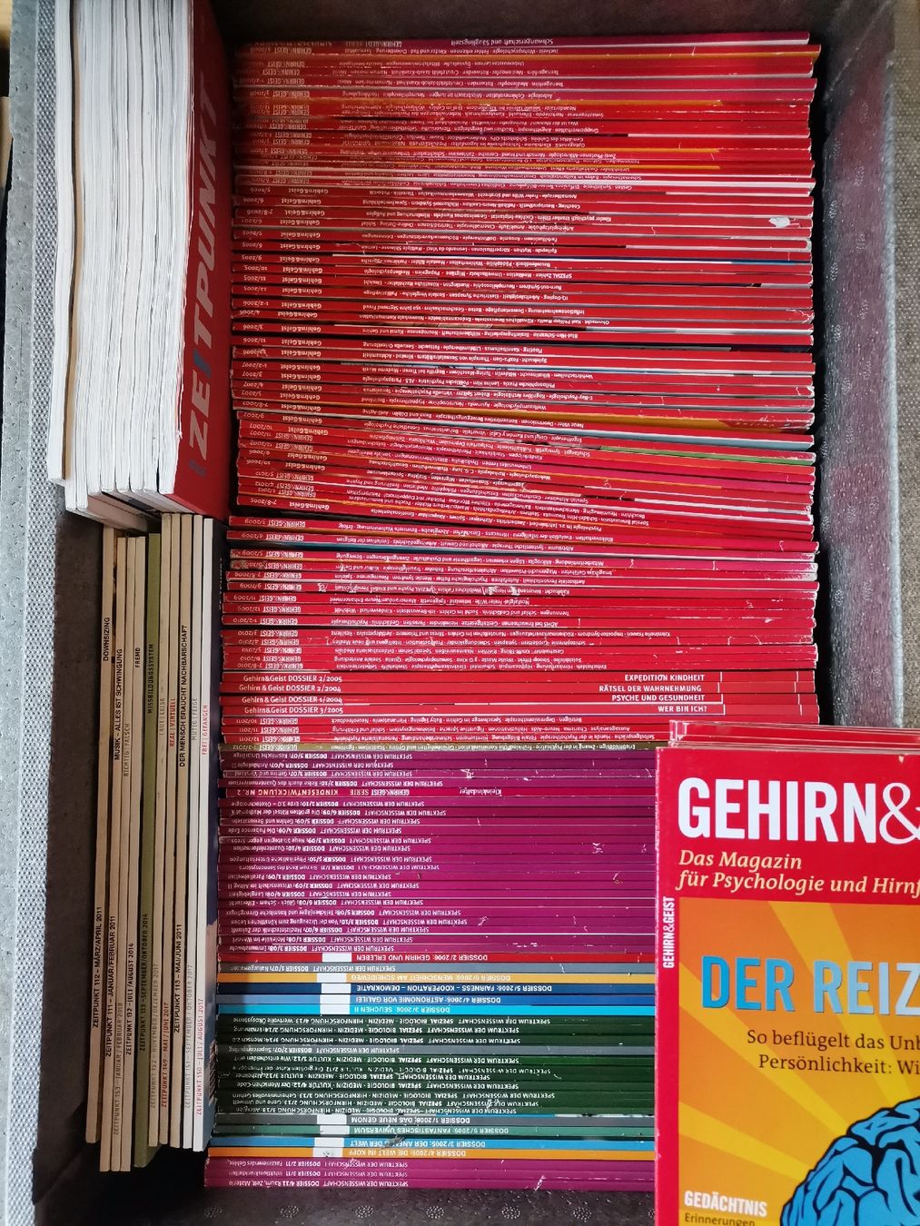 Riviste & Magazine: Grosses Magazin-Paket: Gehirn & Geist – Usato da St. Gallen venduto da Bir_Rer 1