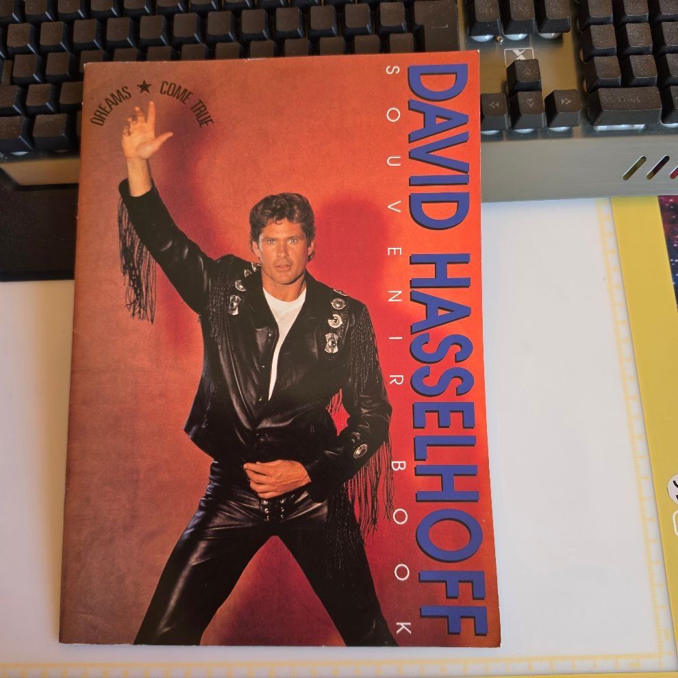Libri: DAVID HASSELHOFF SOUVENIR BOOK – Usato da Dintikon venduto da bonita099