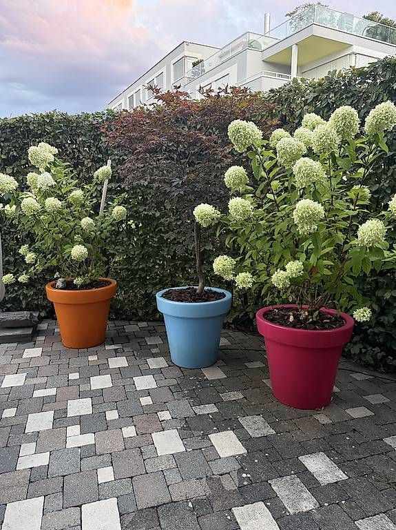 Blumentöpfe: Garten Deko: BLOOM! Blumentopf mit LED  – Gebraucht aus Zürich von the_g8qw