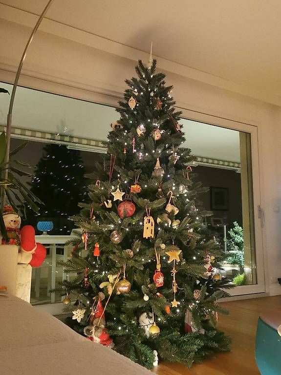 Alle Dekorationen: Albero di natale – Gebraucht aus Castagnola von ste_w6fj