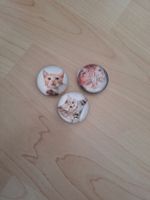 Magnet mit Katzenbilder