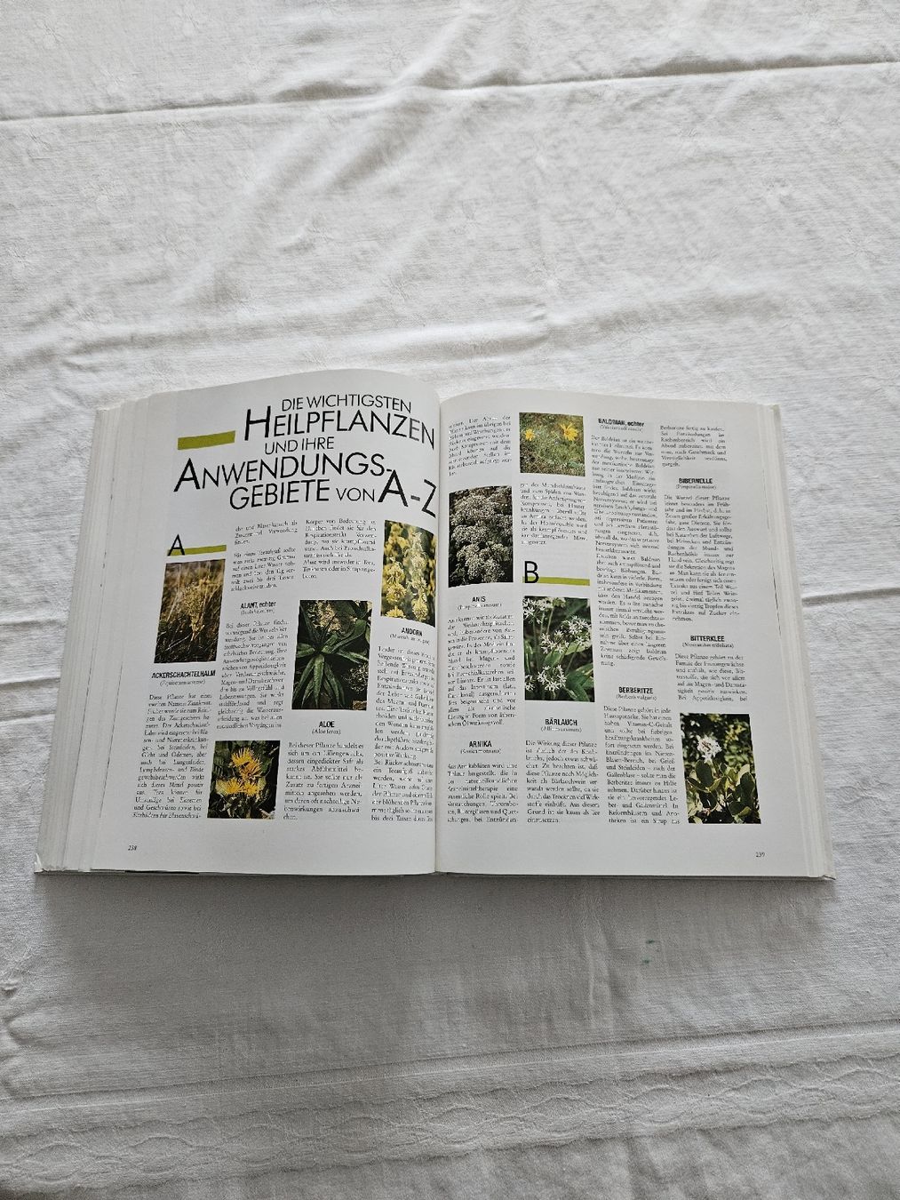 Libri: Natürliche Heilkräfte - Silva Buch ab1.- – Usato da Wädenswil venduto da Jsi.Z01 3