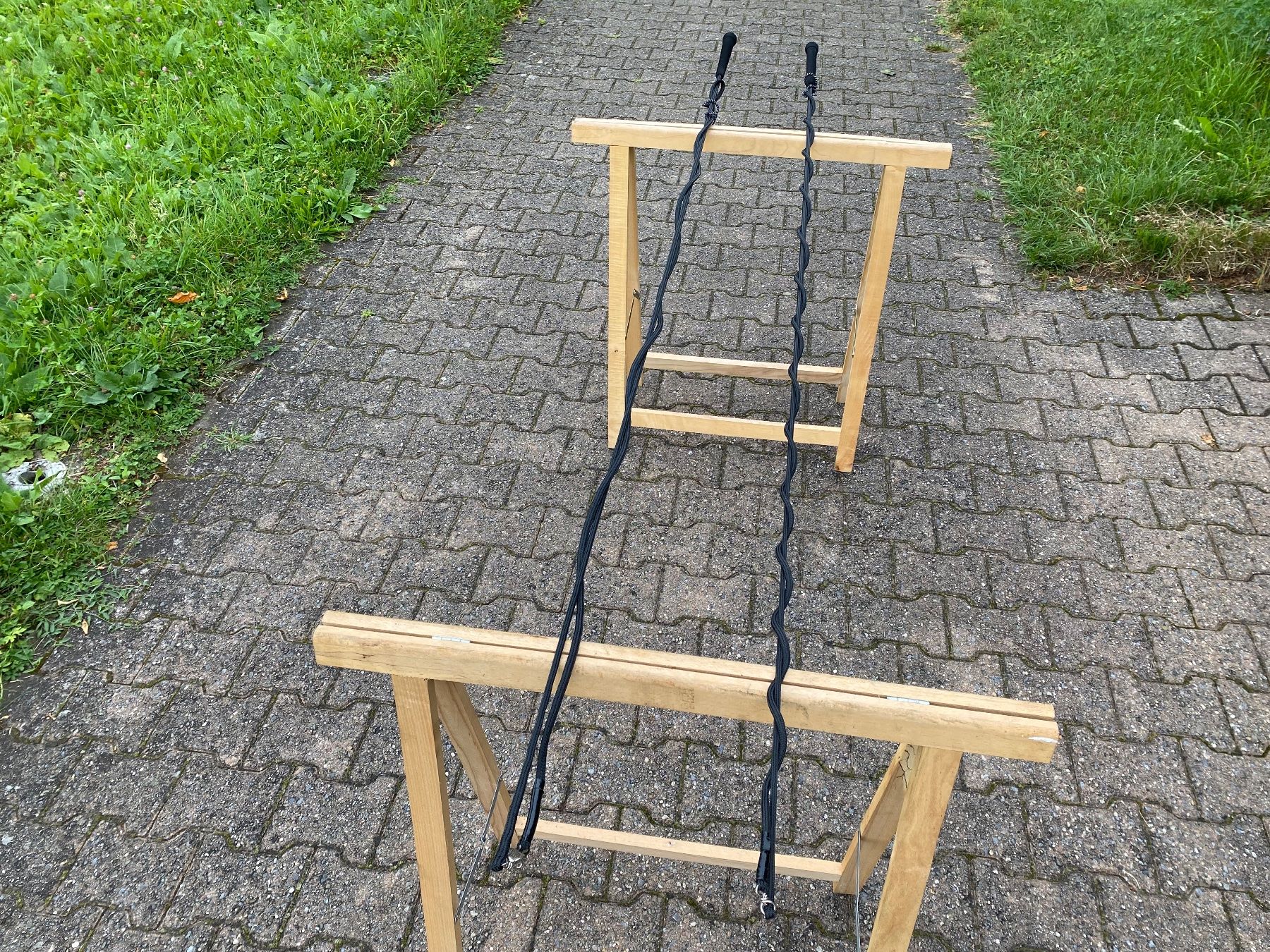 Carrozze: 2 schöne Longierpeitschen – Usato da Feldbach venduto da Fea1 5