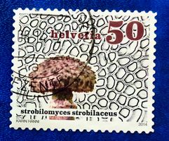 Nr.1506 Gemeiner Strubbelkopfröhrling Dauermarken GESTEMPELT
