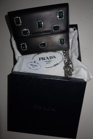 Prada City Calf Jewel Wallet Clutch Rare Collector piece 
