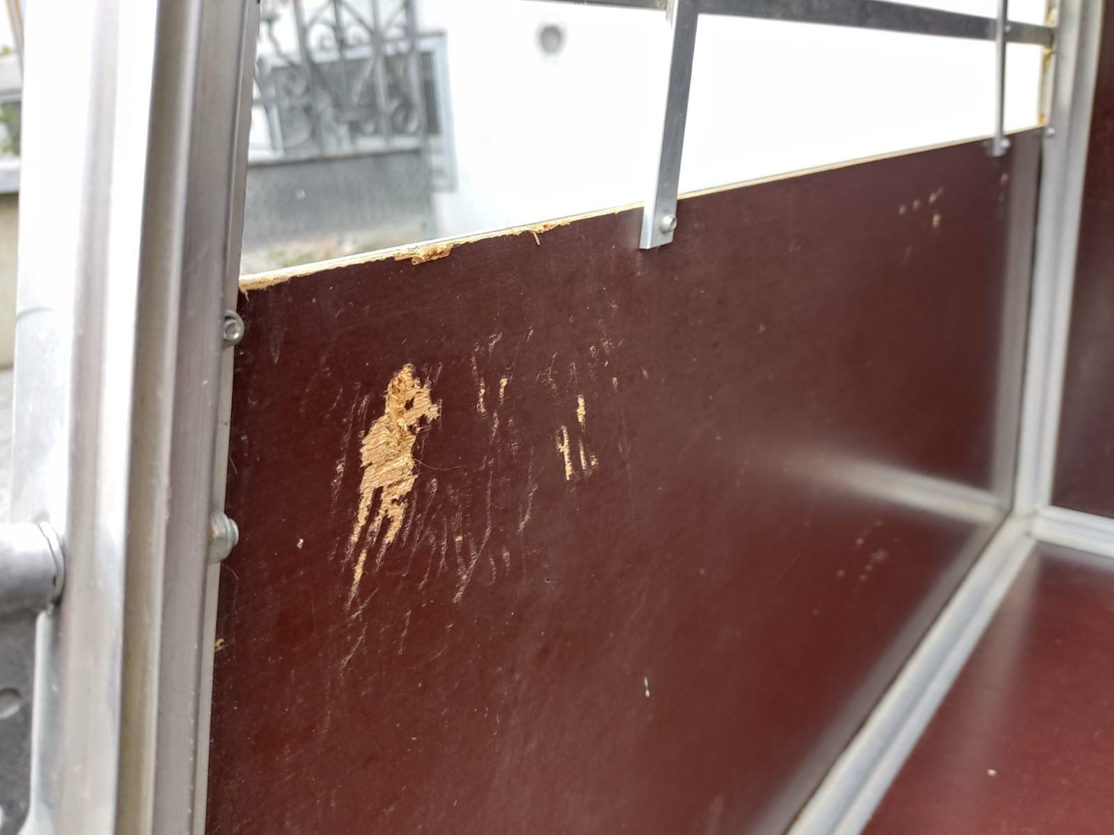 Gabbie, trasporto & Sicurezza: Alu Hundebox – Usato da Zürich venduto da meloneo 3