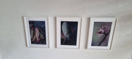 Bildern Set
