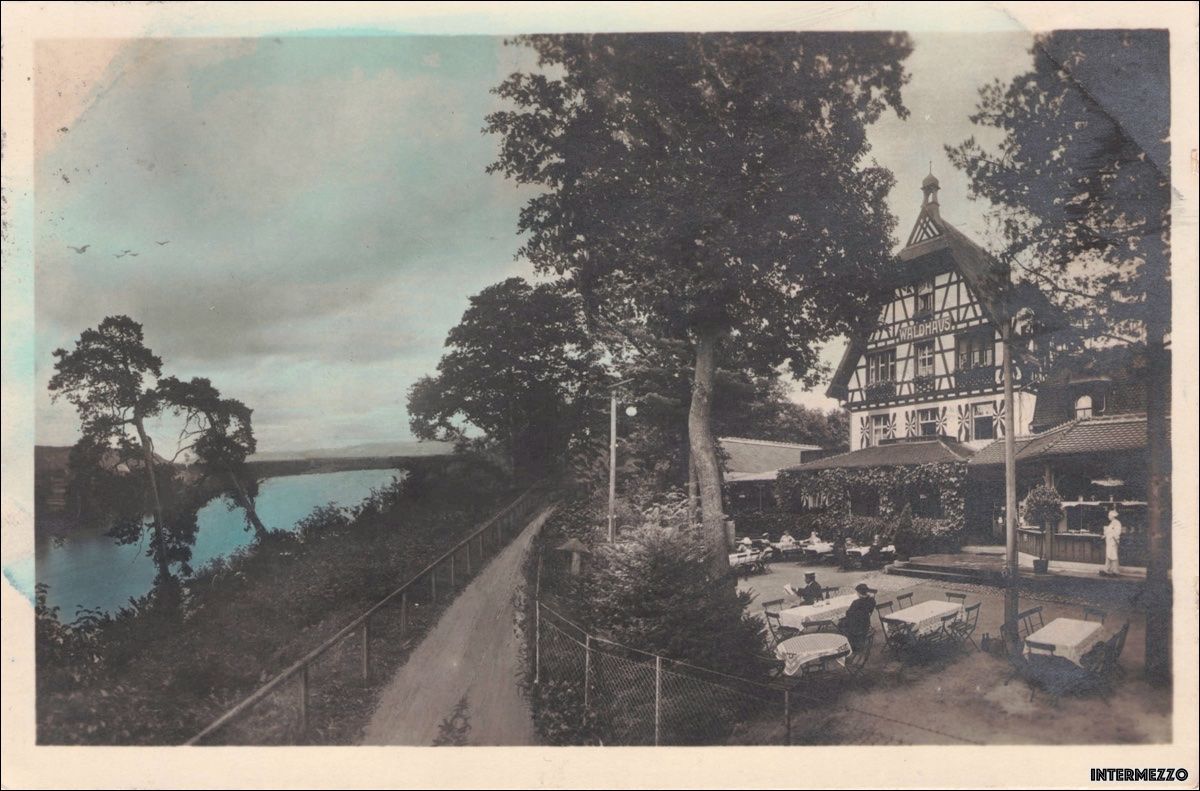 Cartoline postali: Birsfelden BL // 1924 Restaurant Waldhaus Hard – Usato da Basel venduto da intermezzo12
