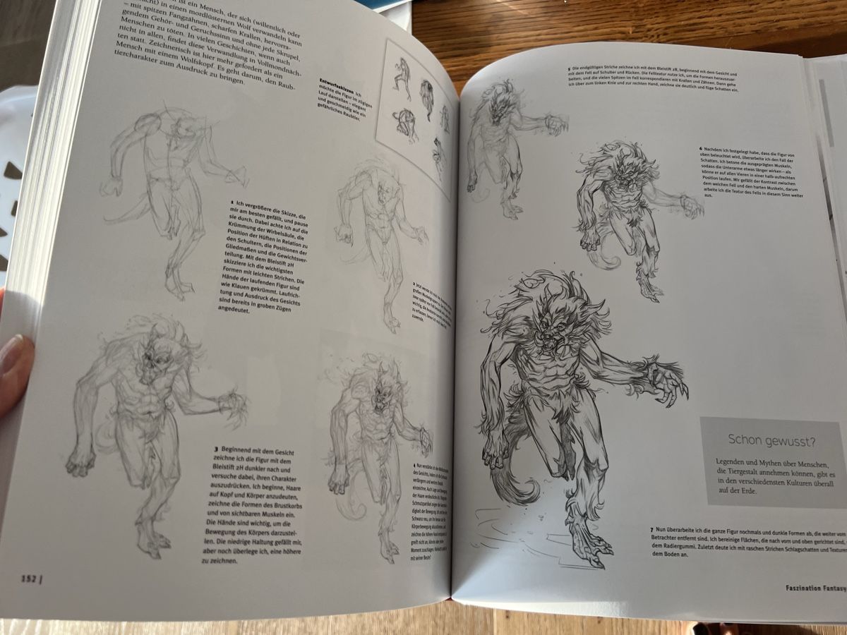 Libri: Zeichenlernbuch Manga/Anime – Nuovo (secondo la descrizione) da Schenkon venduto da NCB77 6