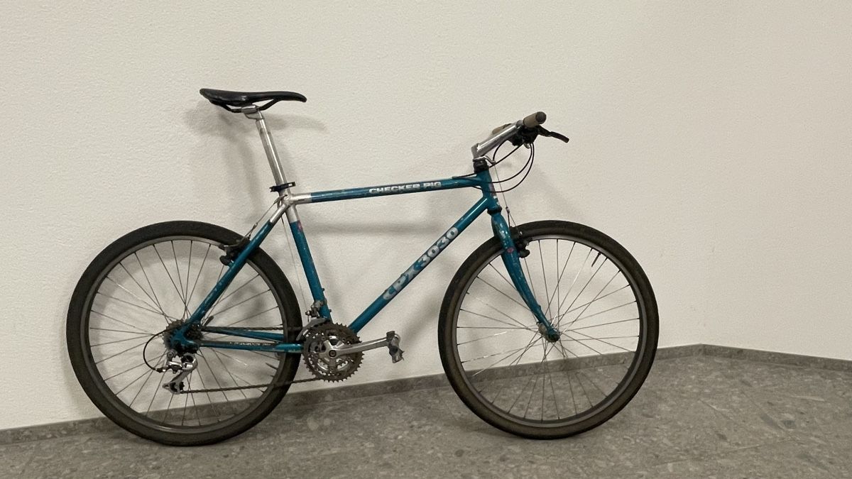 Checker Pig Biciclette: CheckerPig - Bicycle 48cm – Usato da Zürich venduto da mth_x7sd 4