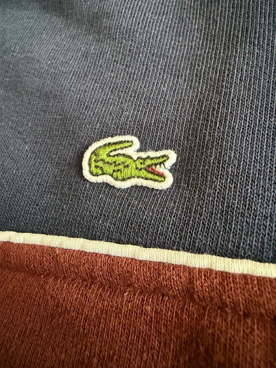 Pullover & Sweatshirts: Pul Lacoste enfant 10 ans – Gebraucht aus Plan-les-Ouates von Rangech 5