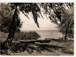 Strandbad Altenrhein