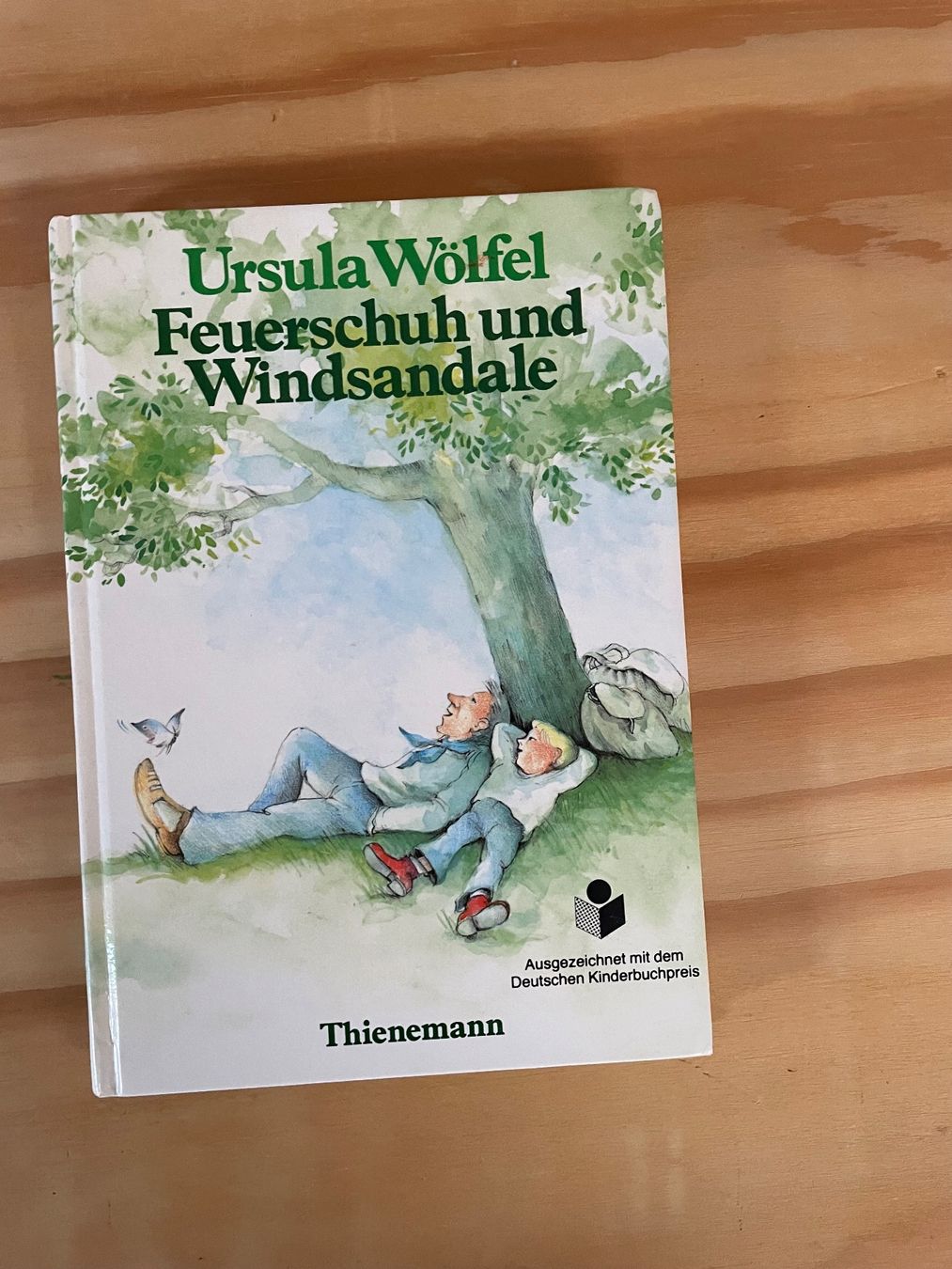 Libri: Ursula Wölfel - Feuerschuh und Windsandale, Kinderbuch – Usato da Grellingen venduto da dinge