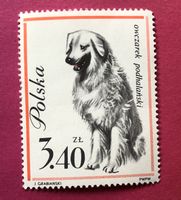 Briefmarken aus Polen Hunde UNGESTEMPELT