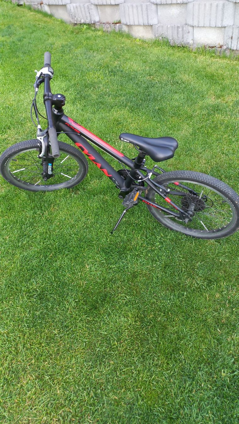 Biciclette: Kindervelo ,Cylan  Mod.Future , 20x1.75 Bereifung . – Usato da Welschenrohr venduto da Oldie551 1