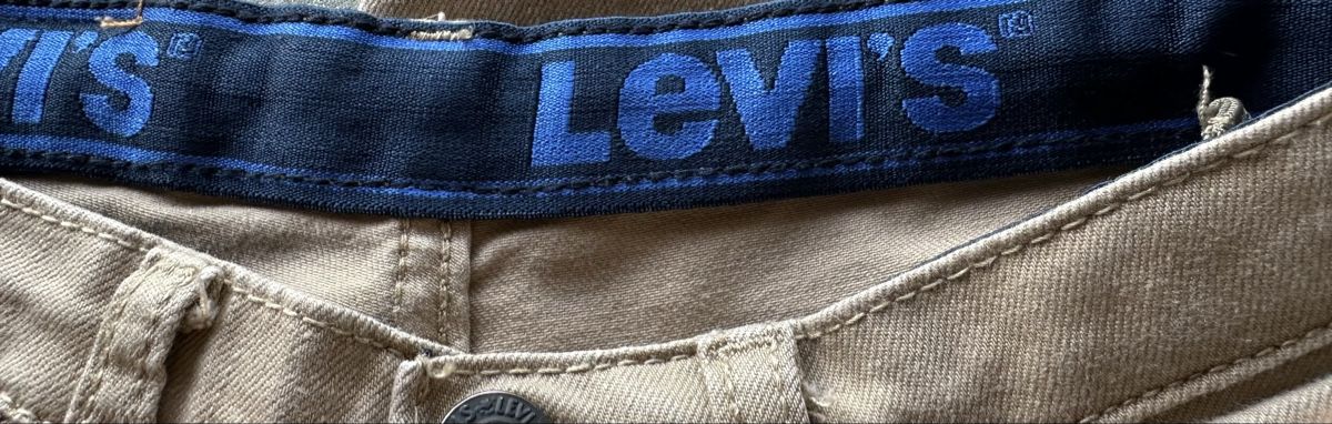 Levi's Pantaloni: Pantalone in cotone Levi’s – Usato da Castel San Pietro venduto da Moregi 2