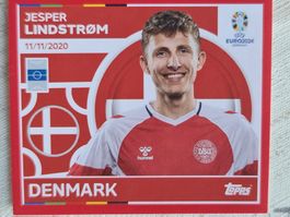 Topps EURO2024 DEN 14