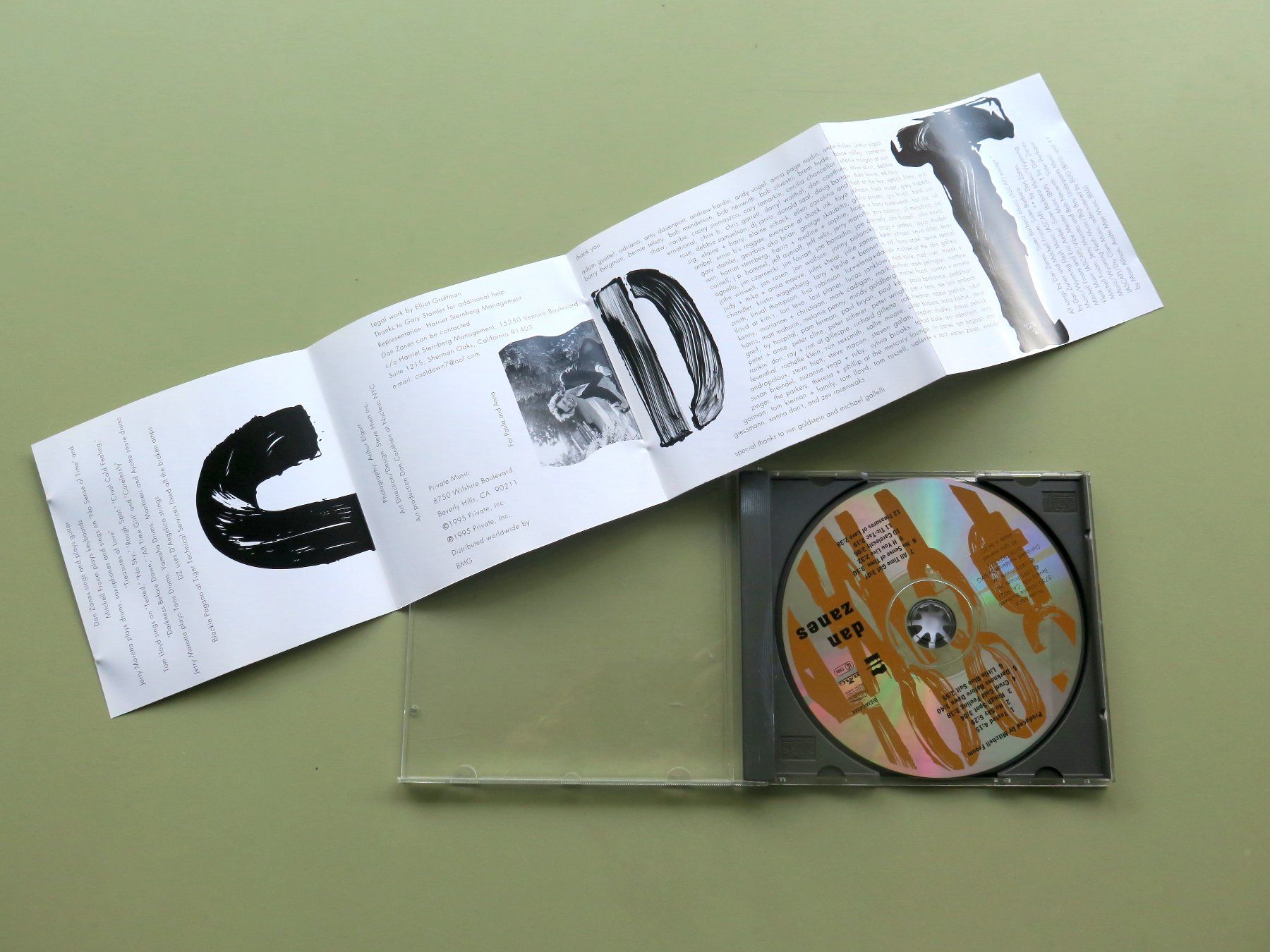 CD: (p) CD DAN ZANES: Cool down time, 1995 – Usato da Bern venduto da Balzamico 2