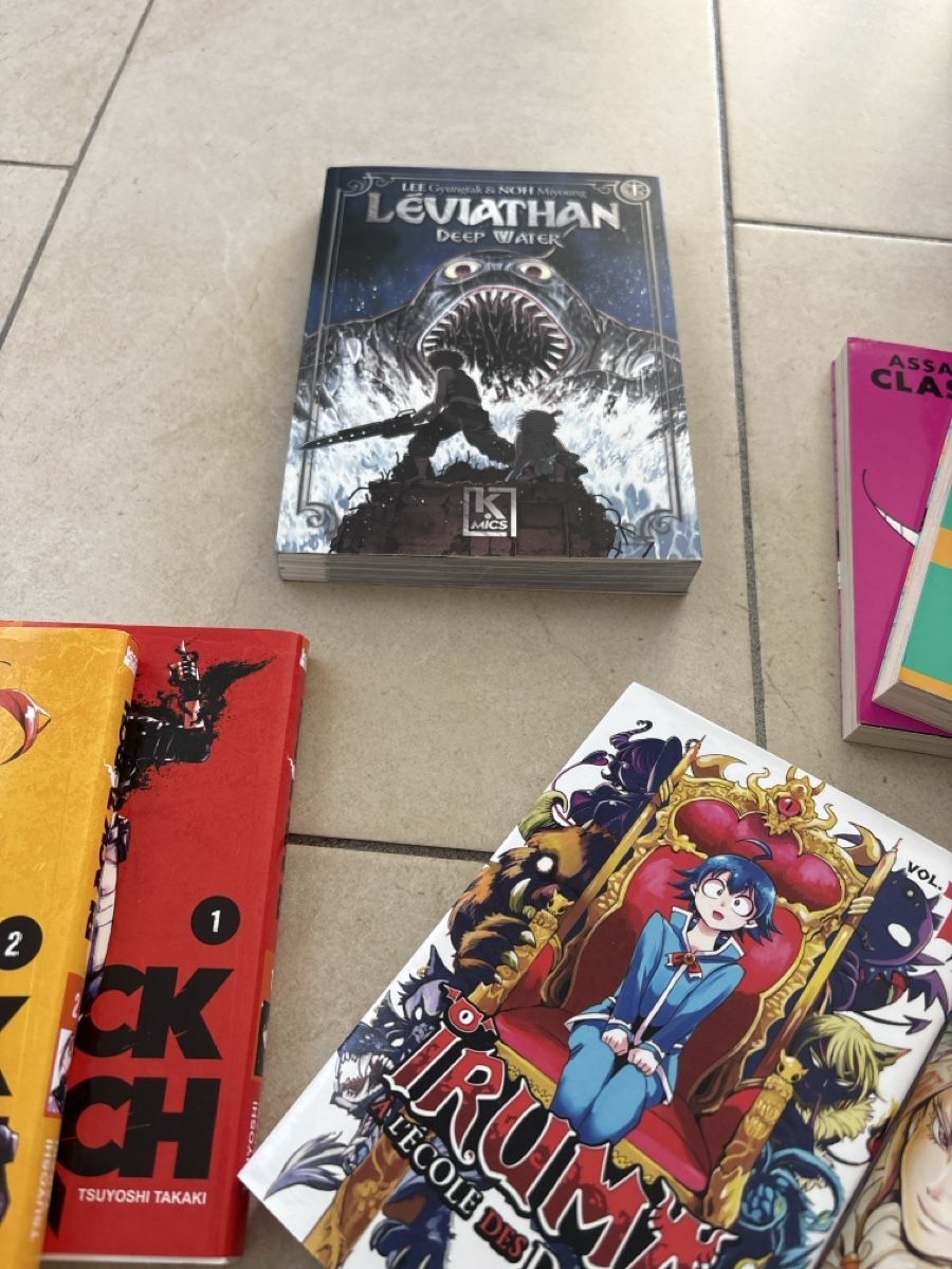 Comics: Lot de manga  – Neu (gemäss Beschreibung) aus Chez-le-Bart von lis_6njv 3