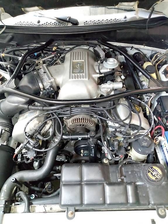 Automobili: Ford Mustang SVT Cobra – Usato da Payerne venduto da reg_8pvb 3