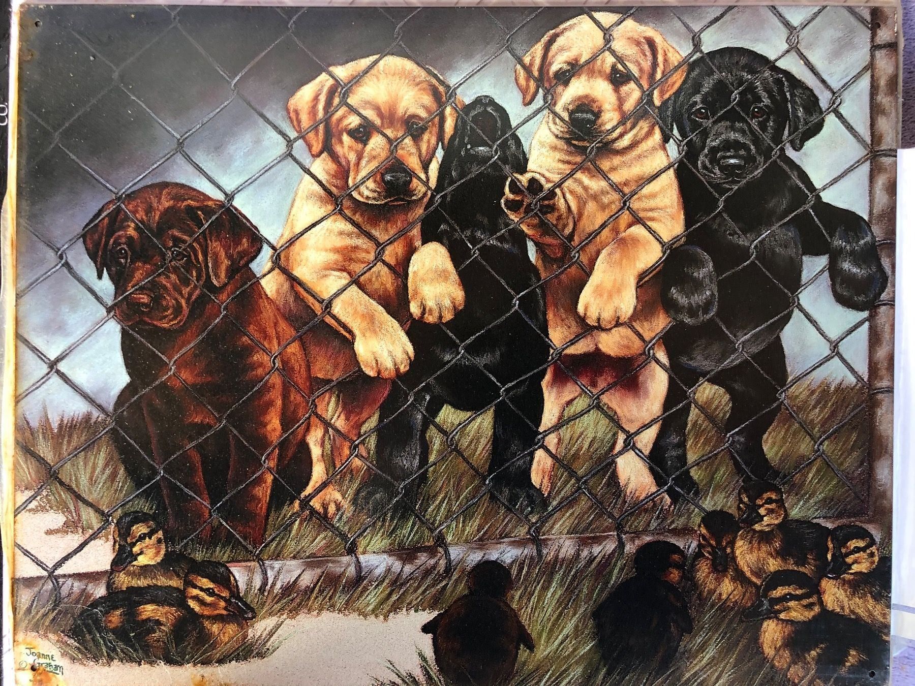Insegne: Hunde Welpen klein tiere – Nuovo (secondo la descrizione) da Reinach AG venduto da rares75