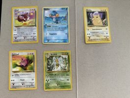 Pokémon 5 Karten 