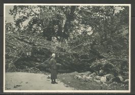 Carte P ( La Chaux-de-Fonds / Cyclone de 1934 )