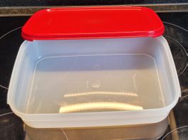 Tupperware-Behälter 2L neu