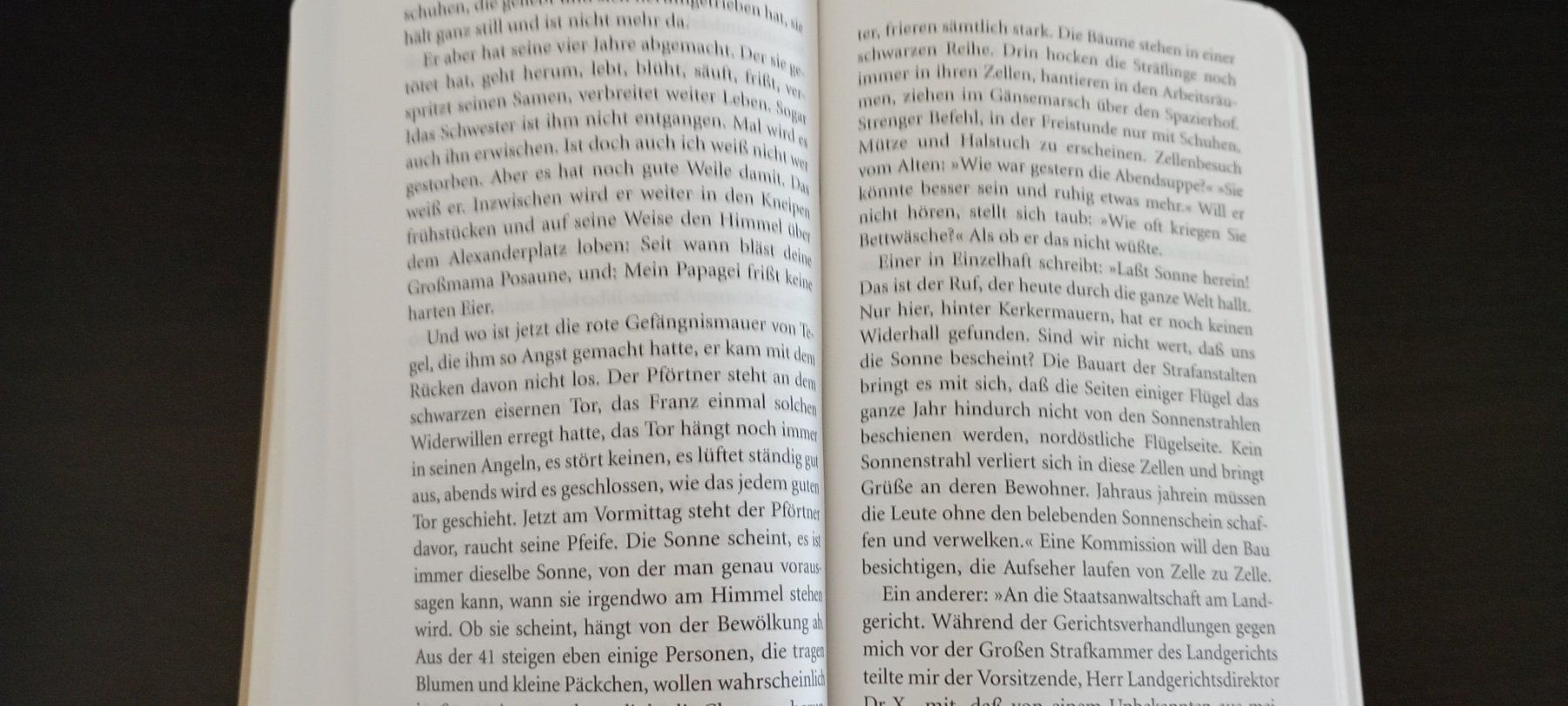 Libri: Alfred Döblin - Berlin Alexanderplatz – Usato da Allschwil venduto da pri_9lsr 2