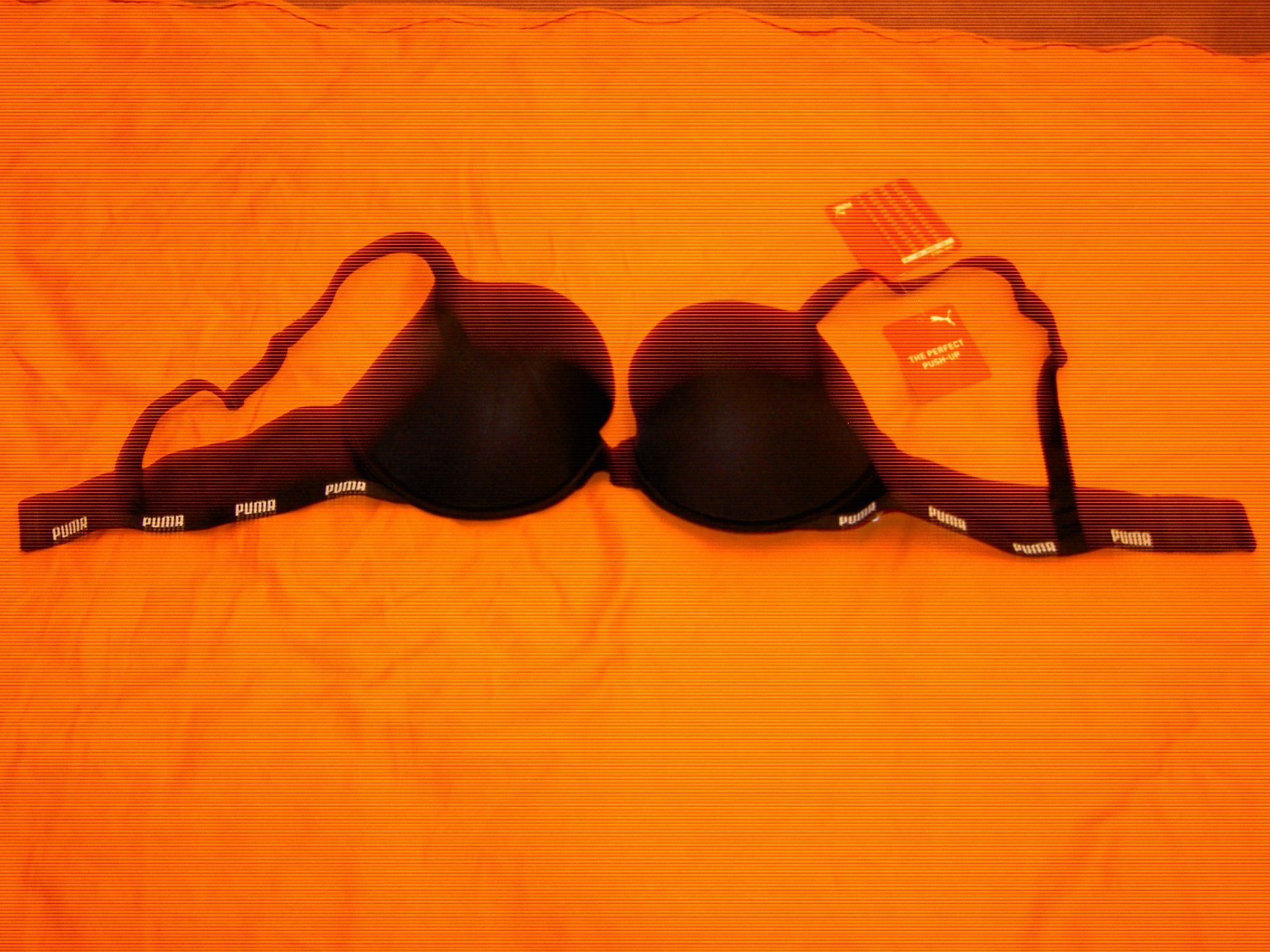 Puma Sonstige Unterwäsche: PUMA push up 85 C – Neu und originalverpackt aus Bettlach von Kvety 2