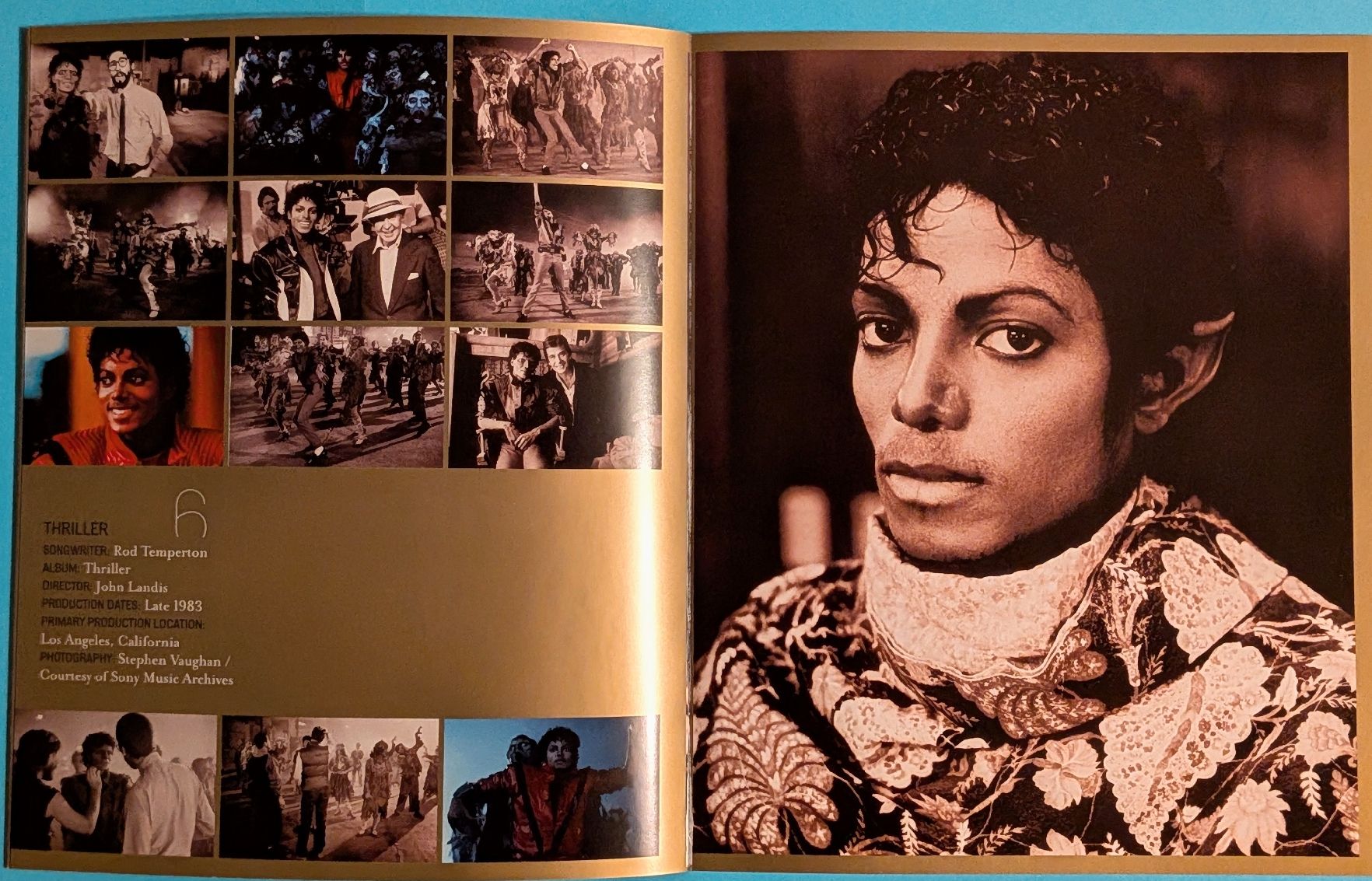 Tutti i DVDs: Michael Jackson / Vision DVD Set 3 Discs / Gebraucht – Usato da Aesch BL venduto da Charles2018 7