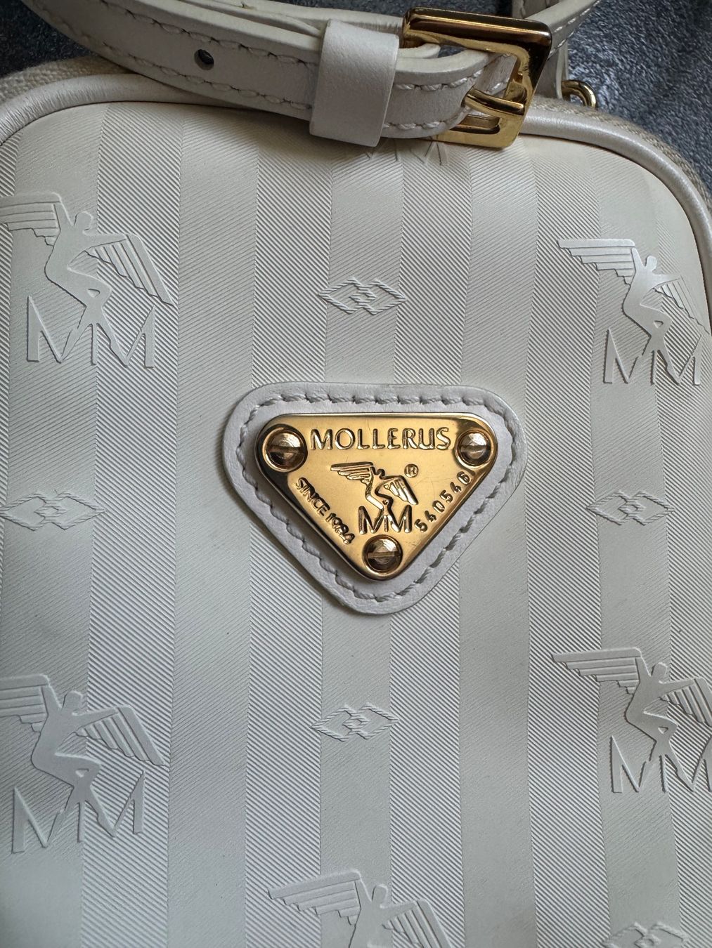 Maison Mollerus Borse da donna: Maison Mollerus Wildhorn Handytasche – Usato da Moosseedorf venduto da SDmedia 1