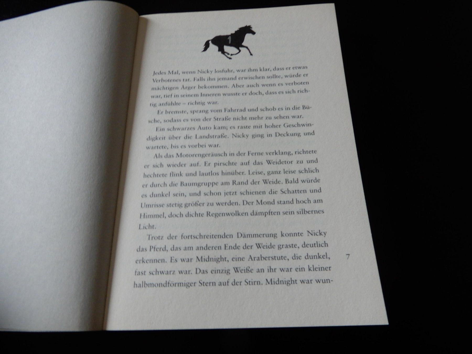 Libri: Judy Waite: Der Pferdeflüsterer Midnight – Usato da Erstfeld venduto da Mario_boe0 3