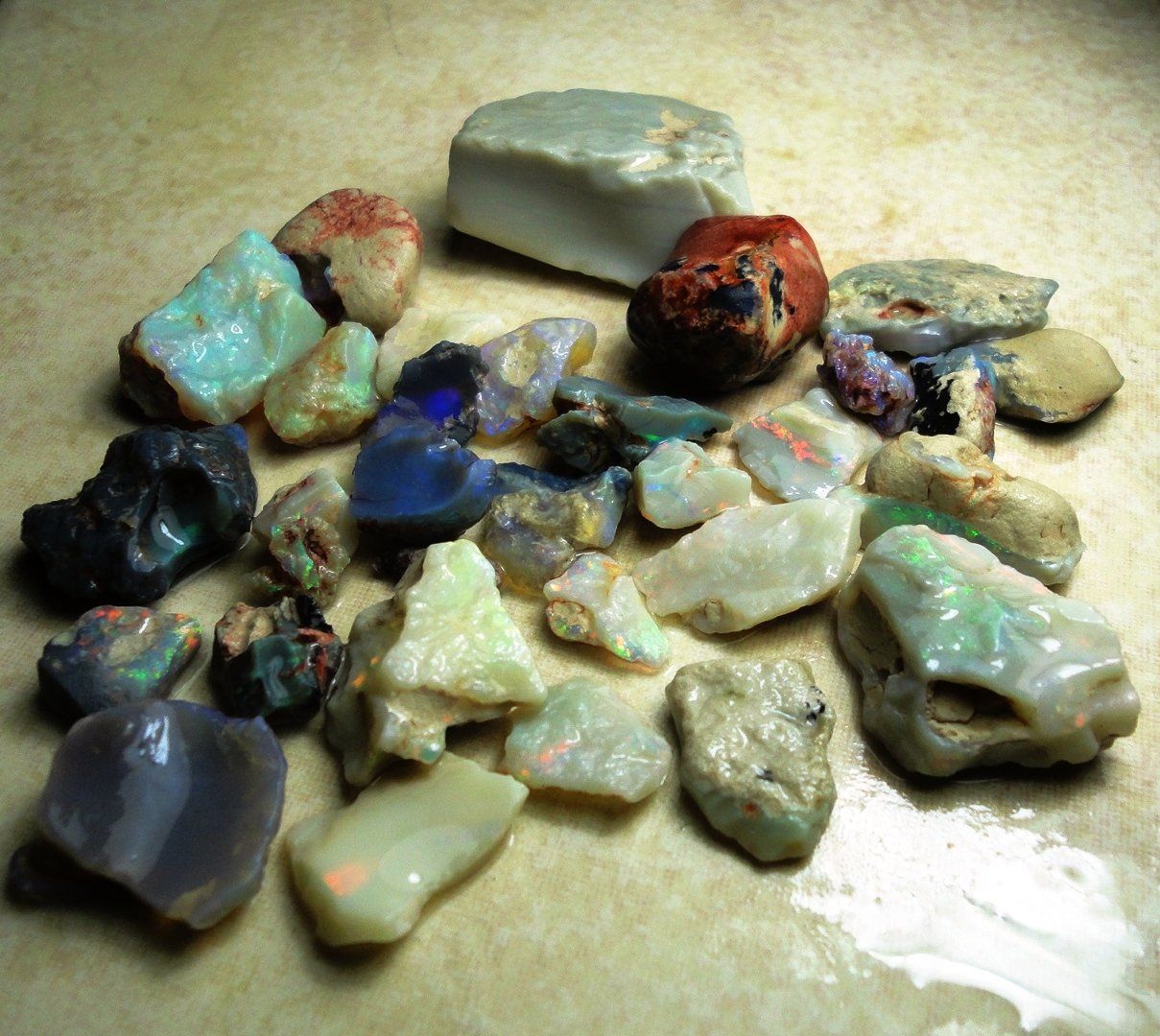 Pietre preziose: Opal LOT Lightning Ridge 231ct Natur – Nuovo e nell'imballaggio originale da zuerich venduto da Jewlsdesign 2