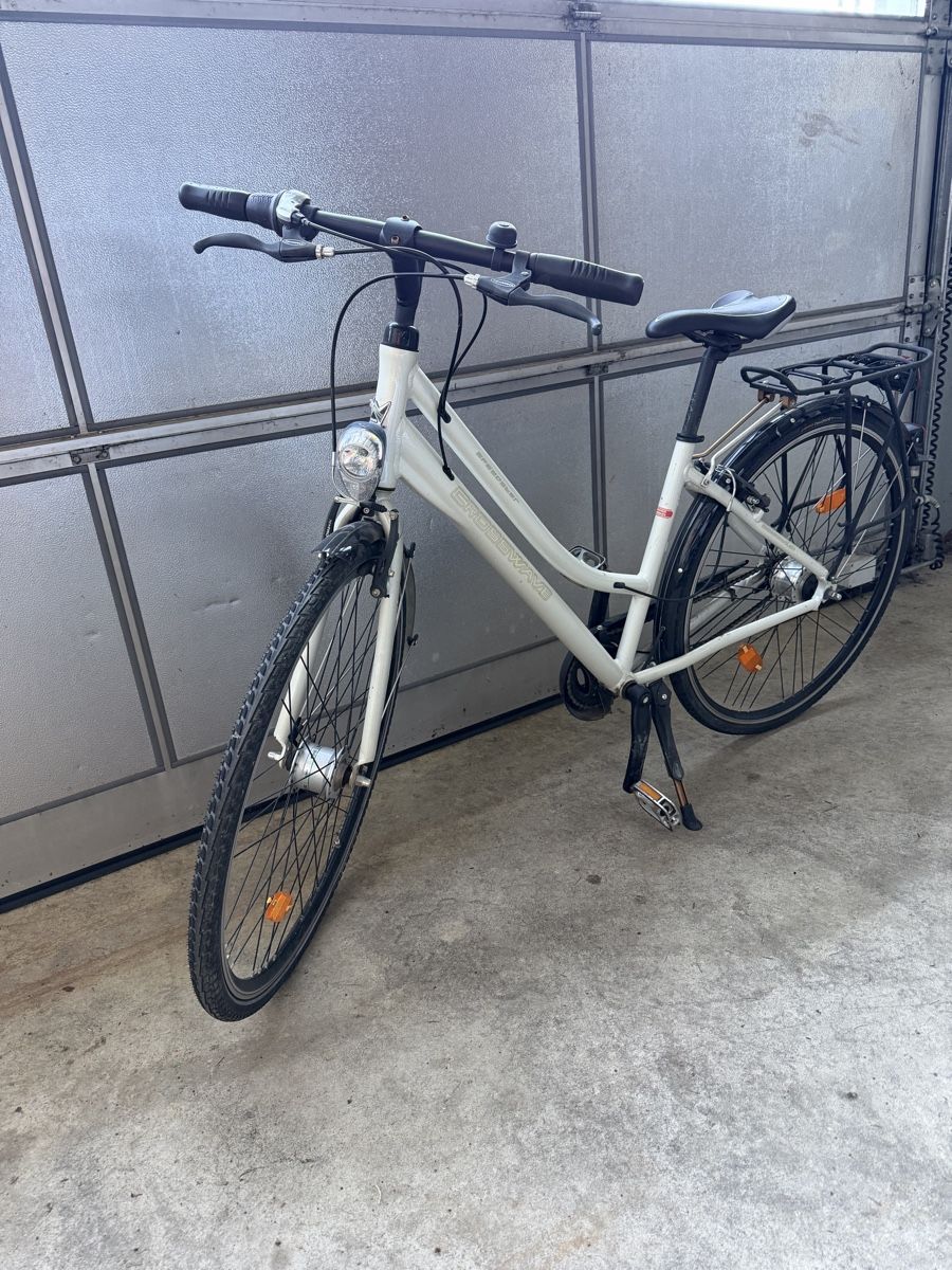 Crosswave Biciclette: Crosswave Speedster Damenvelo – Usato da Wiezikon b. Sirnach venduto da AckermannJ 1