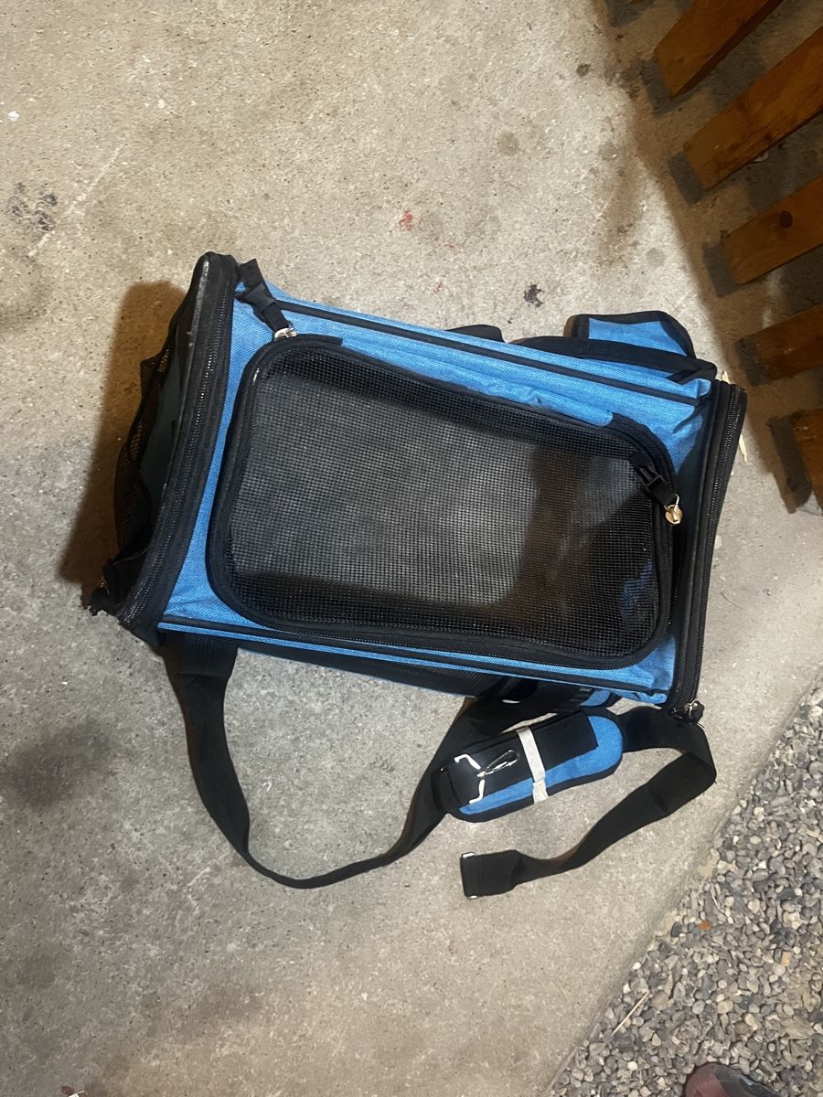 Taschen: Hundetasche – Gebraucht aus Bülach von NatalliaB-K 2
