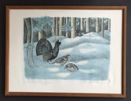Lithographie encadrée grand tétras Dominique Cosanday