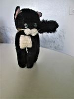 Alte Katze mit Stroh