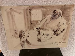 ORIGINAL BILD VON ROLF SEILAZ SCHWEIZ