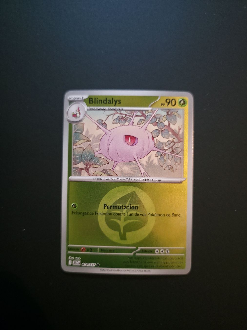 Pokémon Carte collezionabili: Asc 014 Reverse Energie  – Nuovo (secondo la descrizione) da Le Lignon venduto da Nathium