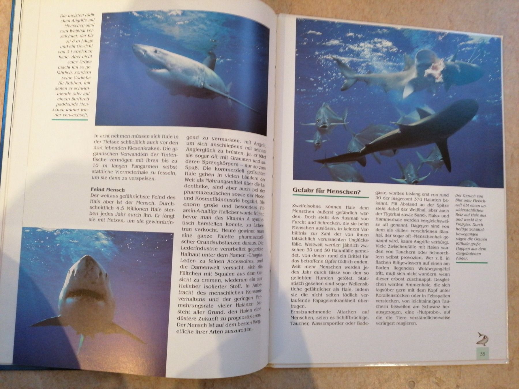 Libri: Haie / Faszination Tierwelt – Usato da Klingnau venduto da vollmond36 4