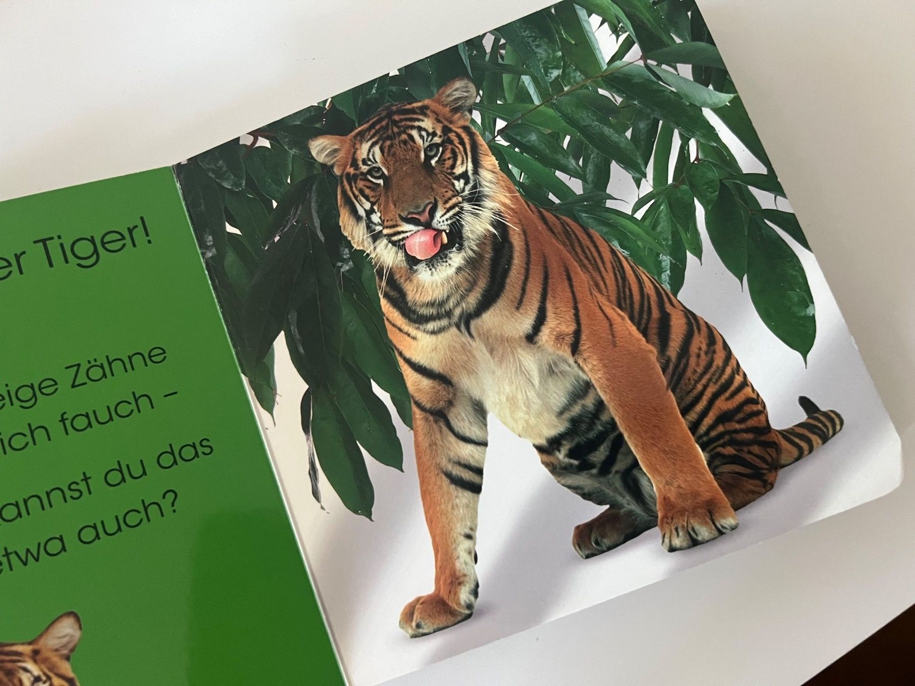 Libri: Gucklochbuch im Zoo – Usato da Thun venduto da Siladi 3