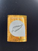 Panini NZL 1