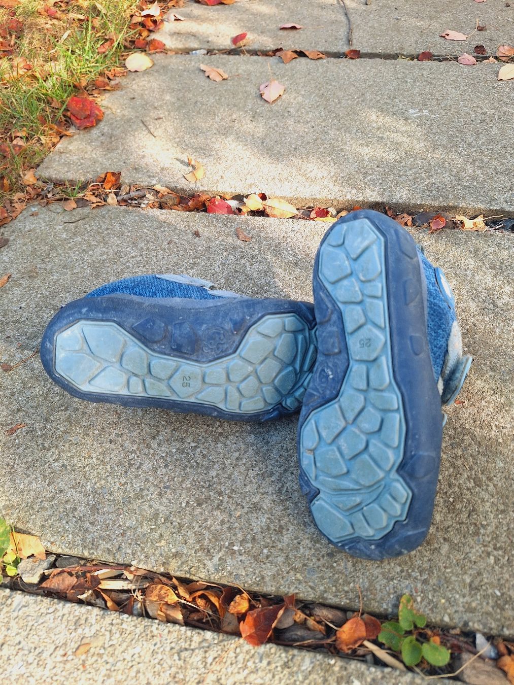 Affenzahn Schuhe für Jungen: Affenzahn gr 25 blau – Gebraucht aus Winterthur von pat.paw 2