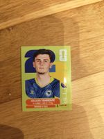 Panini WM 2026, BIH 9, Tahirovic