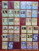 pokemon évolutions xy 🇫🇷